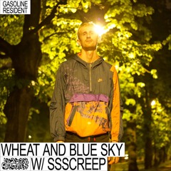 WHEAT AND BLUE SKY #01 03/09/2022