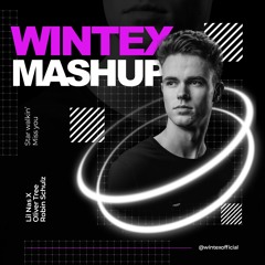 Lil Nas X x Robin Schulz x Oliver Tree - Star Walkin X Miss You (Wintex Mashup)