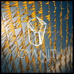 Cyanit @ Hafen 49