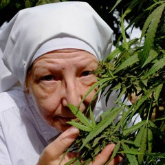 MT - TERRA DA MACONHA ( DJ JT DA SERRA ) 2026