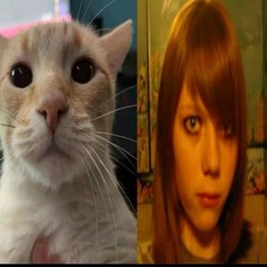 bustamente flow (ouazé) (i'll make video clip for 1k)