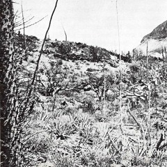 TRAILZ & THEM&i // NOCHE VIEJA ft. ASØLAS [prod. DJQ]