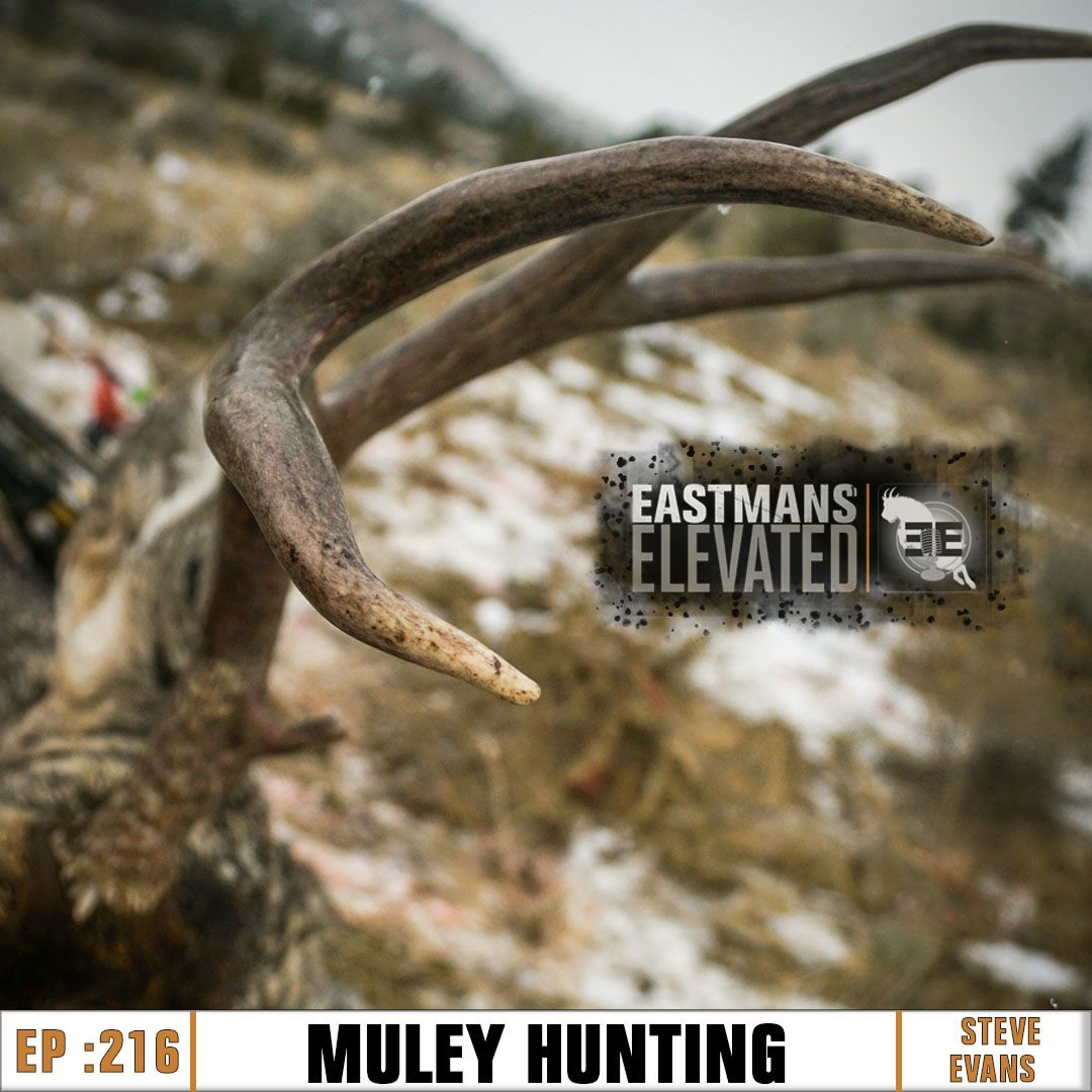 Episode 216: Muley Hunting with Steve Evans