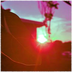 Chilled Summer