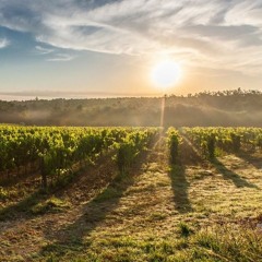 Septuagesima: Staunen über Gottes Güte