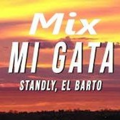 MIx Mi Gata - Febrero - Oscar Heredia Dj