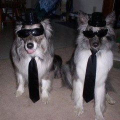 PERROS Ft Tuca* prod. kago + smtsx3 ***🚬***