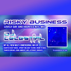 DJ Celestial - Risky Business (Lovely Day and Haunted Nite Underground Dance Mix 10.31.24)