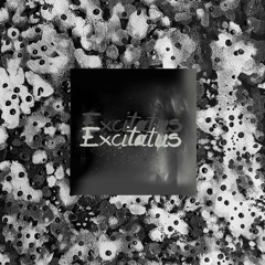 Excitatus