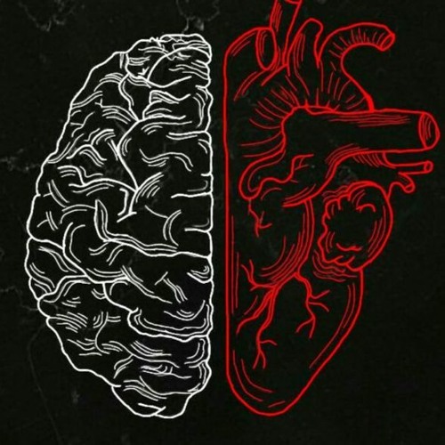 Fede Mingolo Welcome To My Music