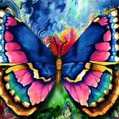 Carnivorous Butterflies