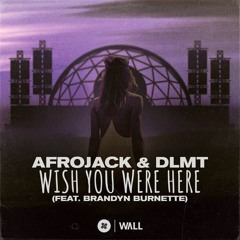 Afrojack & DLMT Feat. Brandyn Burnette - Wish You Were Here (Atribút Remix)