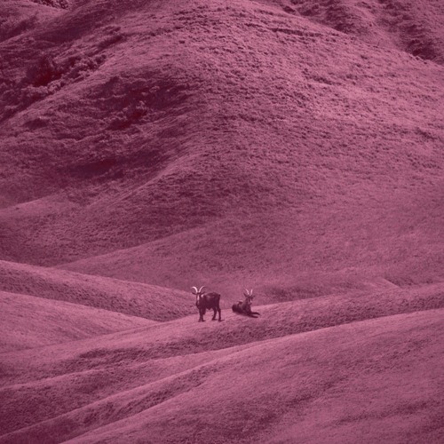 NxWorries, Anderson Paak - Move On (Farren Bootleg)