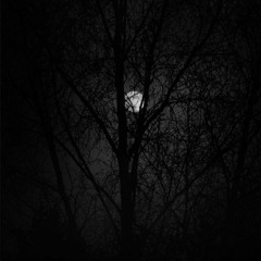 midnight