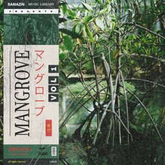 Mangrove 79BPM (PREVIEW) - @samazinmusic