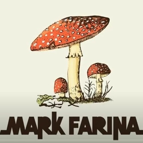 Mark Farina- Foggy Friday Mixtape -Mushroom Jazz