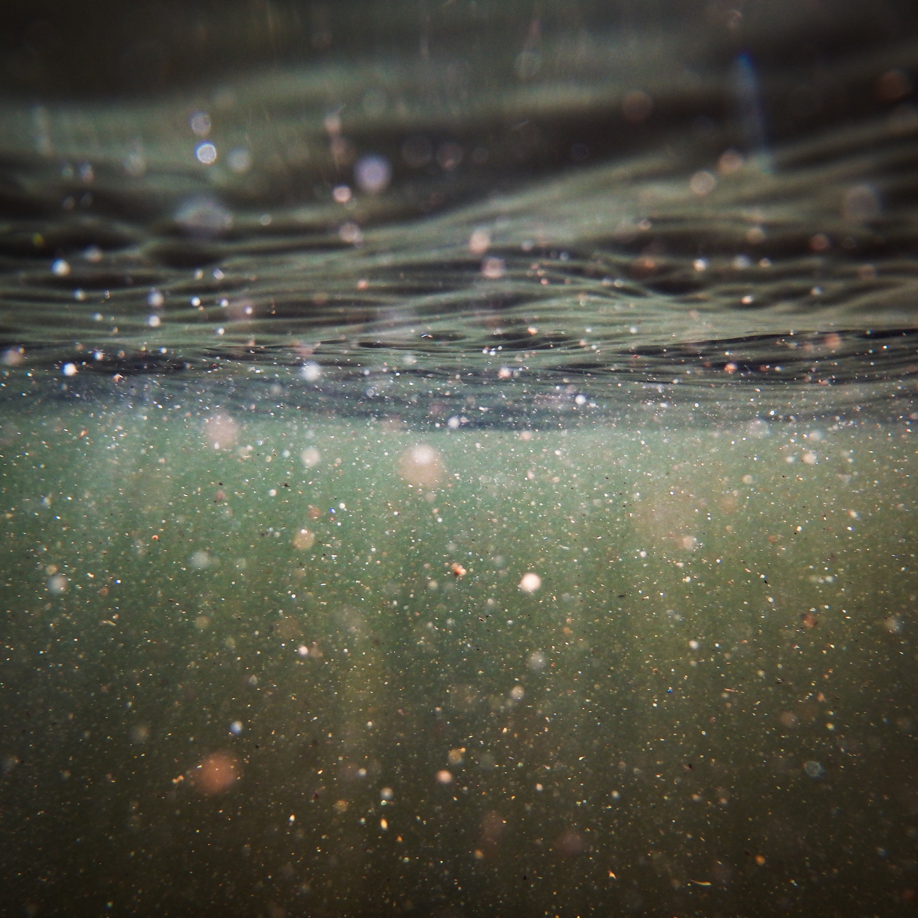 disquiet0440  Scales Scrapped Off A Fish episode artwork