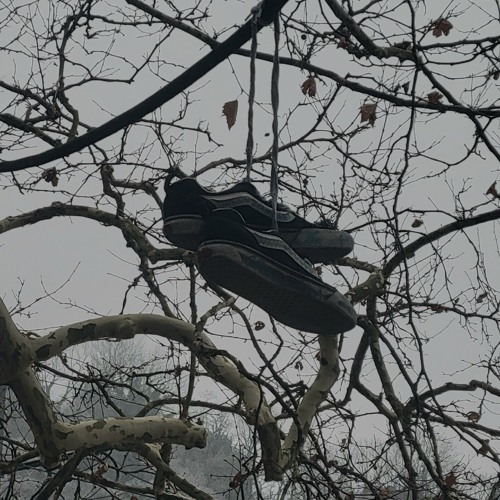 weightless