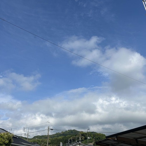 没.ﾘ