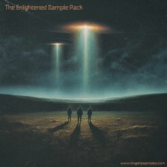 The Enlightened Sample Pack Snippet