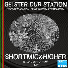 Gelster Dub Station #52 RadioRFM 16.11.2024 ShortMic & Higher
