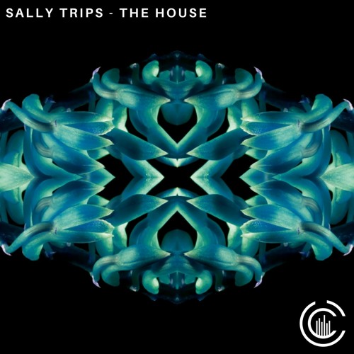 Sally Trips - The House