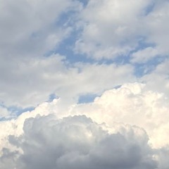 2006 Summer Training Banner Song | 2006 여름훈련 그리스도의 몸 결정연구 (내1008)