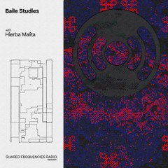 Baile Studies | Hierba Malita | November 2023