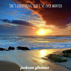 Jackson Gleaves - she's everything that I've