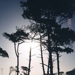 Vibes 101: Jun '25