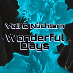 Voll & Nüchtern - Wonderful Days