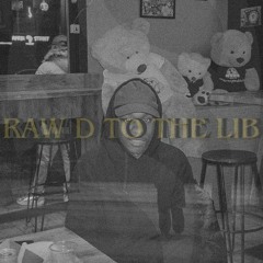 RAW D TO THE LIB CHAP 1