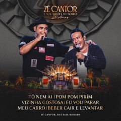 Tô Nem Aí / Pom Pom Pirim / Vizinha Gostosa / Eu Vou Parar Meu Carro / Beber, Cair e Levantar (Ao Vivo)