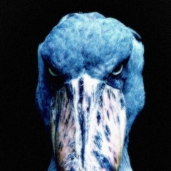 Sentino - Niebieski Ptak (HARDCORE)