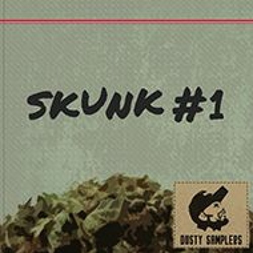 Dusty Samplers Skunk 1 WAV-DECiBEL