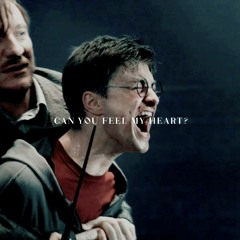 can you feel my heart