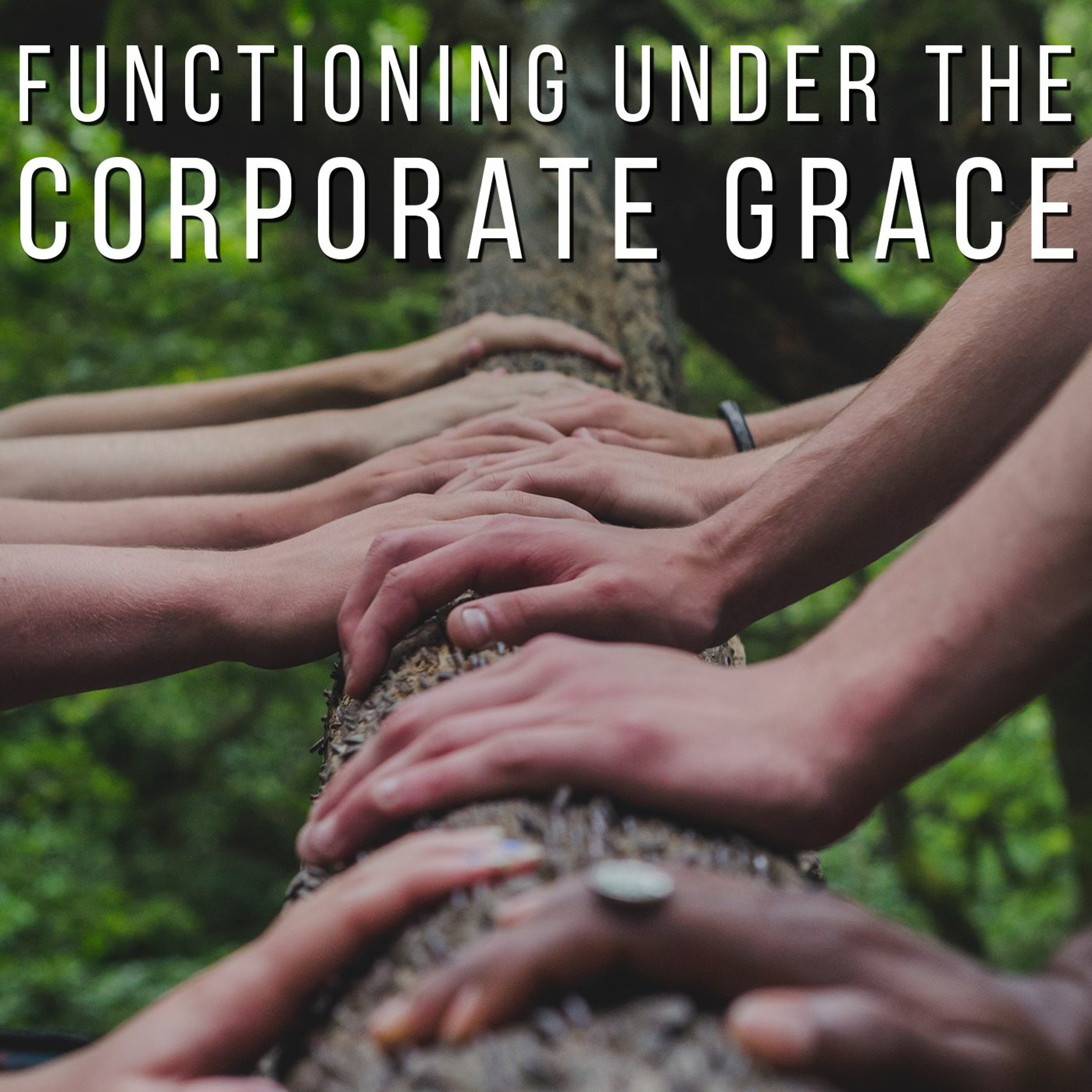 Functioning Under The Corporate Grace episode artwork