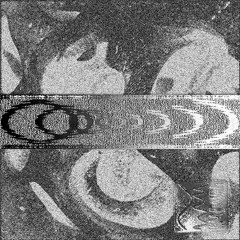 MIATA & USUS - BBB
