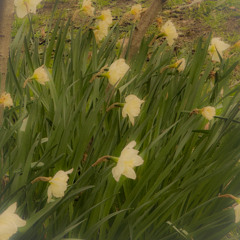 yearning