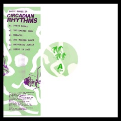Basic Moves 20 - CIRCADIAN RHYTHMS (2x12")