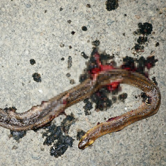 heart eater p. mvvi