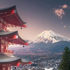 Review Special Price Private Sightseeing to Mt. Fuji and Hakone GREEN NUMBER PLATES