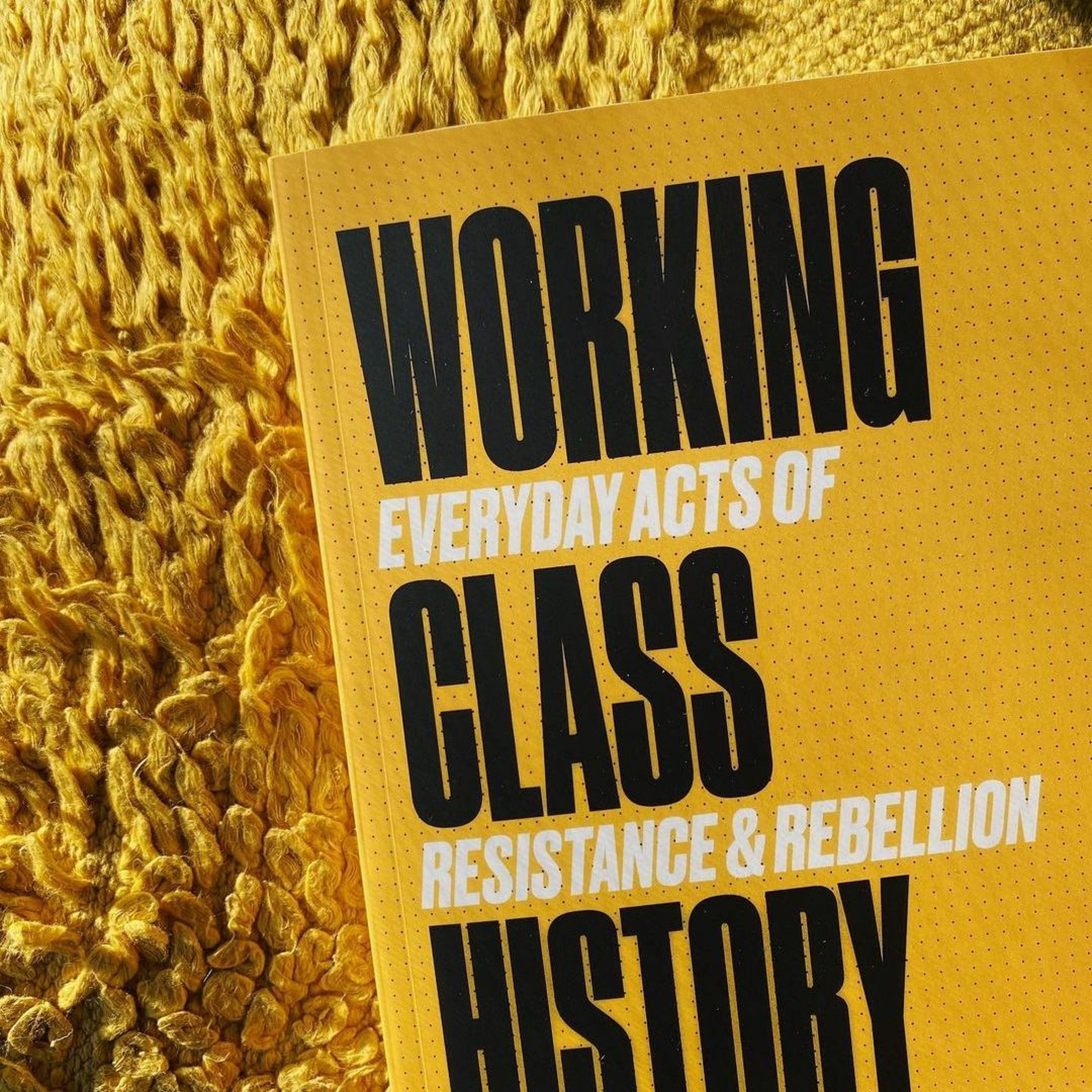 E50: Working Class History the book