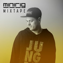 DJ Hybrid - Minirig Mixtape