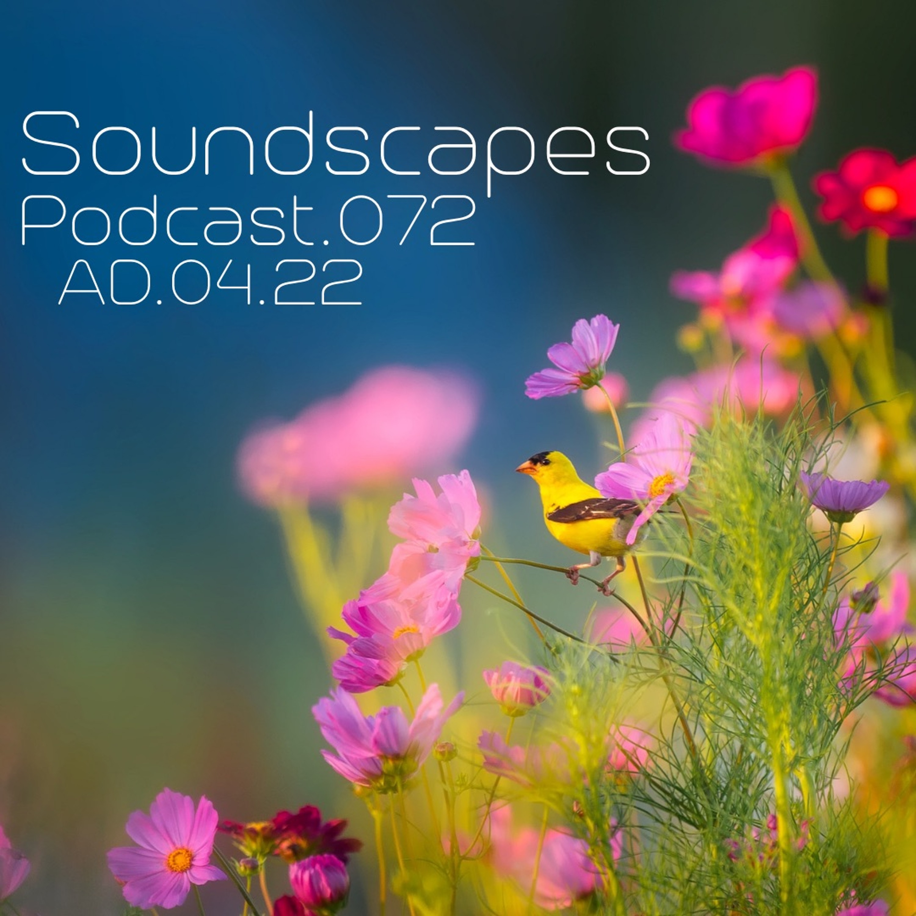 Soundscapes Podcast