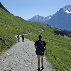 Shane's Best of Anjunadeep Volumes mix