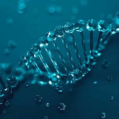 Generally Generic Genomes