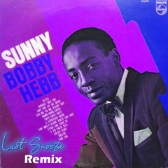 Bobby Hebb - Sunny (Last Snooze Remix)