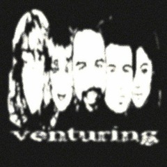 style of venturing