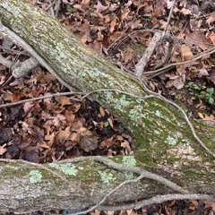 Goin Out Sad (prod.sixglokk)